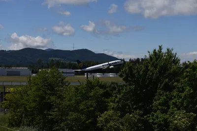 DSC_6304 (Large).JPG